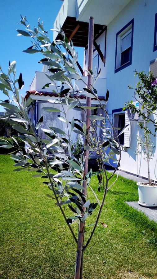 Apartment Zephyros Family 2 *